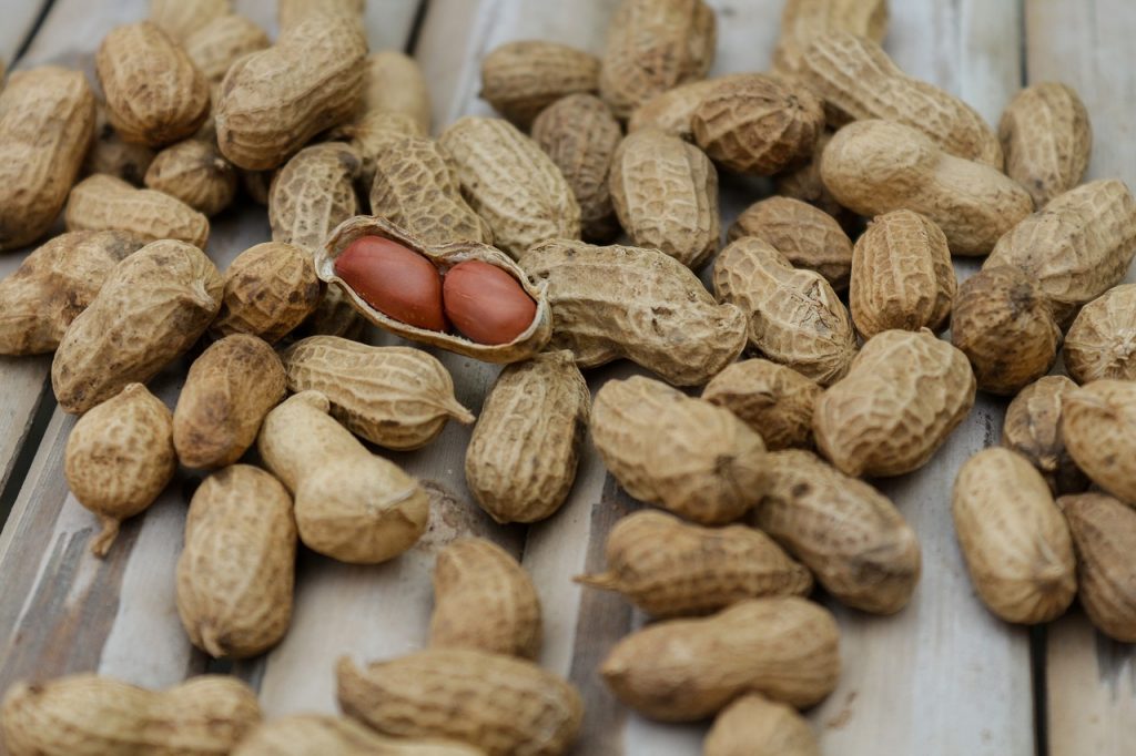Peanut Allergy: The FDA Treatment
